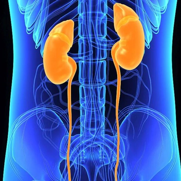 kidney-function-tests-tests-to-measure-kidney-function